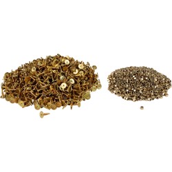 Gold Digger  Traction Master  Carbide Studs