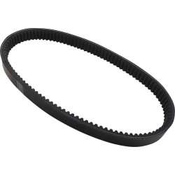HP (High Performance) Belt