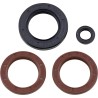 Oil Seal Kit