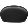 Coussin de sissy bar