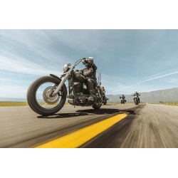 Commander III Cruiser Tire