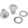 Chrome Seat Bolts and Mounting Nuts