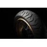 Trailmax Meridian Tire