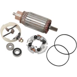 Kit de reconditionnement de moteur de démarreur