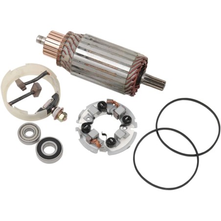 Starter Motor Rebuild Kit
