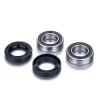 Wheel Bearing Kit Off-Road