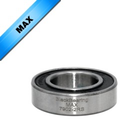 Max Bearing