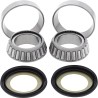 Steering Stem Bearing Kit