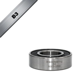 B3 Bearing