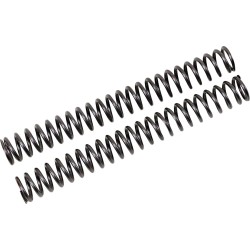 Fork Springs for FKS Cartridge Kit