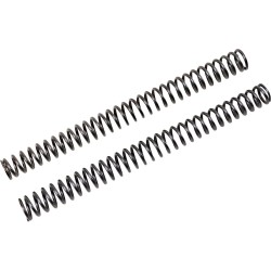 Fork Springs for FKS Cartridge Kit