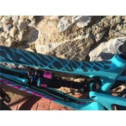 Frame Guard Basic Protection Zebra