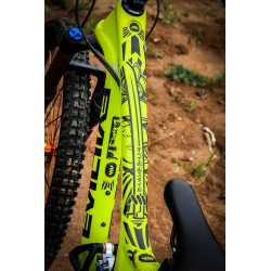 Frame Guard Extra Protection Ronin