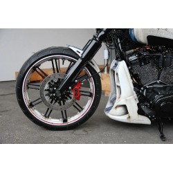 Front Fender Custom