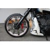 Front Fender Custom