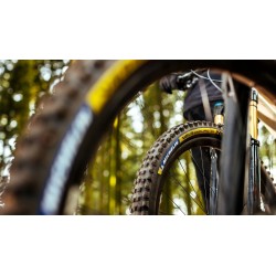 Wild Enduro MS Racing 27,5" x 2,40