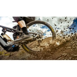 E-Wild Racing 29" x 2,60 arrière