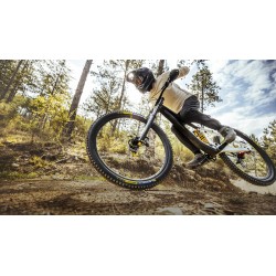 DH 16 Racing 29" x 2,40