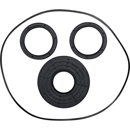 Differential Seal Kit