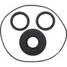 Differential Seal Kit