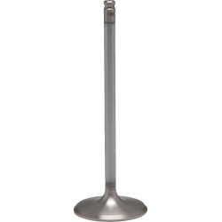 White Diamond  Engine Valve