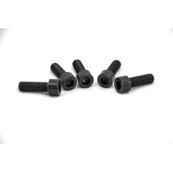 Fork Bridge Screws