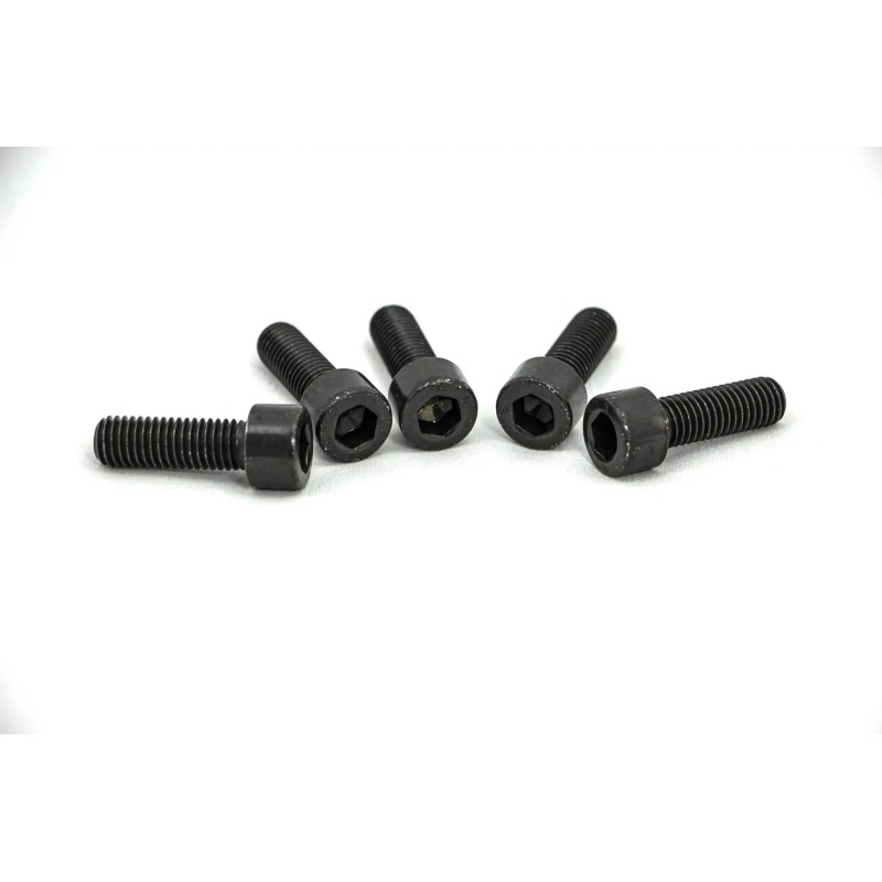 Fork Bridge Screws