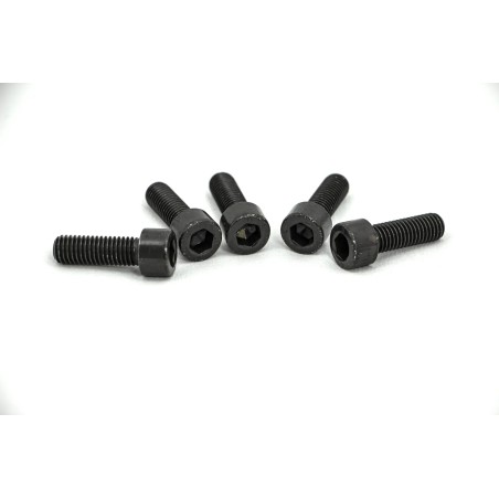Fork Bridge Screws