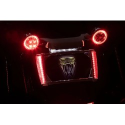LED Lighted License Plate Frame