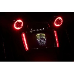 LED Lighted License Plate Frame