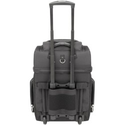 BR4200 Sissy Bar Bag