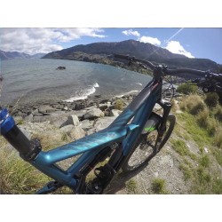 Autocollants de protection renforcée pour cadre Zebra