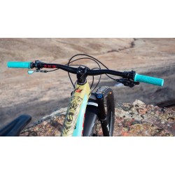 Frame Guard Extra Protection Bear