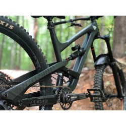 Autocollants de protection renforcée pour cadre Bear