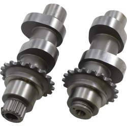 Conversion Chain Driven Cam