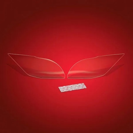 LampGard™ CAN-AM RT