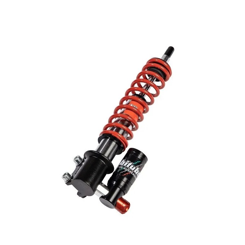 Front Forks Assemblies