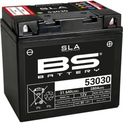 SLA Factory- Activated AGM Maintenance-Free Battery