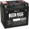 SLA Factory- Activated AGM Maintenance-Free Battery