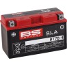 SLA Factory- Activated AGM Maintenance-Free Battery