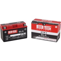 SLA Factory- Activated AGM Maintenance-Free Battery