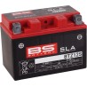 SLA Factory- Activated AGM Maintenance-Free Battery