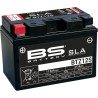 SLA Factory- Activated AGM Maintenance-Free Battery