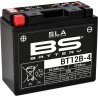 SLA Factory- Activated AGM Maintenance-Free Battery