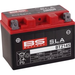 SLA Factory- Activated AGM Maintenance-Free Battery