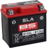 SLA Factory- Activated AGM Maintenance-Free Battery