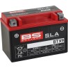 SLA Factory- Activated AGM Maintenance-Free Battery