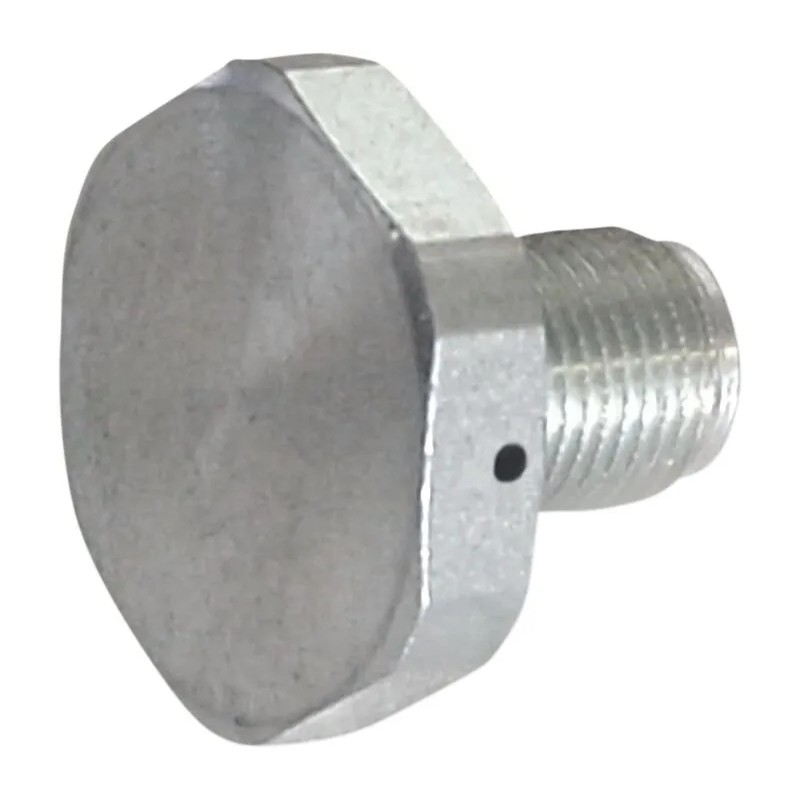 Upper Fork Tube Caps Bolts