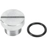 Oil Screen Plug