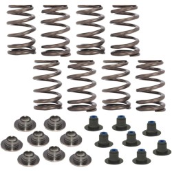 Beehive Valve Spring Kit